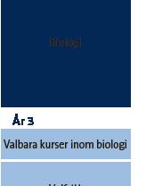Miljö- och hälsoskydd Molekylära livsvetenskaper Nordiskt masterprogram i biodiversitet och systematik Social-ekologisk resiliens för hållbar utveckling Anna Björn Enhetschef Baltic Sea Science