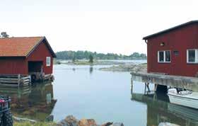 Biologi MASTERPROGRAM: År 3 Marinbiologi Valfritt Självständigt arbete Stockholms universitets marina forskningscentrum vid Askö.