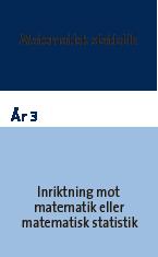Ett år in på utbildningen blev jag allt mer biten av matematiken och insåg vilket kraftfull redskap det är för att förstå världen - det ville jag dela med mig av till andra - så