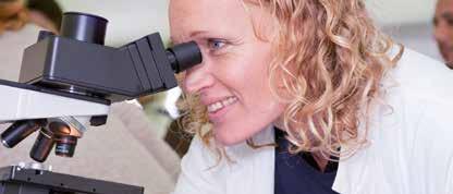 Molekylärbiologi har därför givit en fördjupad förståelse av den biologiska livsprocessen och ligger till grund för fortsatt forskning och framtagande av nya kraftfulla verktyg för bioteknik och