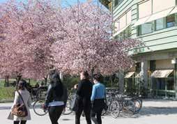 Universitetsområdet karaktäriseras som ett av landets vackraste genom sin blandning av kultur, arkitektur och böljande parklandskap.