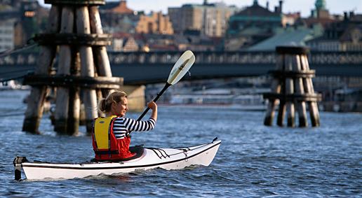 SEB Avtal 545 SEB ANSÖKAN OM GRUPPFÖRSÄKRING 2019 Frivillig gruppförsäkring FYLL I: 1. Personuppgifter 2.