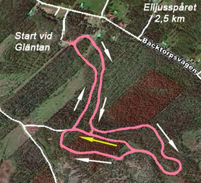 00 Vidare info på sidan 7. KOMMANDE EVENEMANG Nederluleåstafetten Lördagen 16 mars i Antnäs. Gemensam start för Nederluleåstafetten sker kl. 10.00, med upprop kl. 09.50. Ministafetten startar kl. 11.