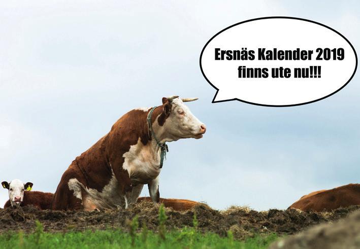 Fotbollsträningen inför denna säsong har sparkat igång. Vi kommer att köra tre pass per vecka (2 Arcus + 1 Antnäs sporthall) fram till mitten av mars när träningsmatcherna börjar komma igång.