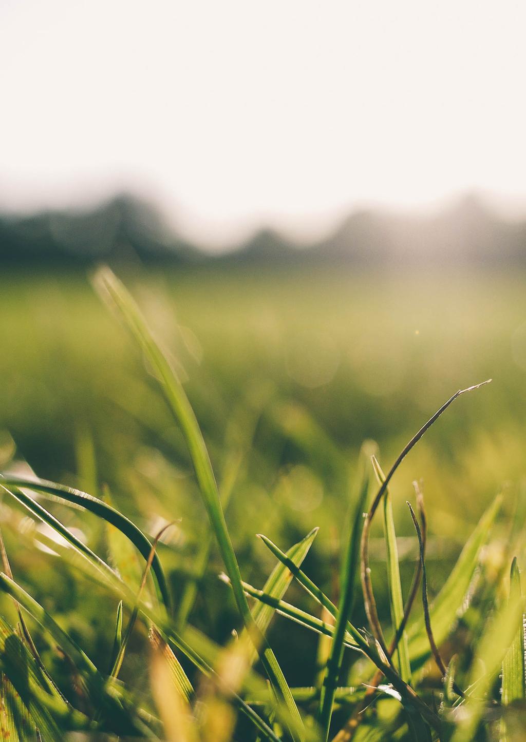 BIOGAS XPOSE Report on study visits Maximized