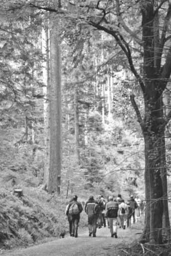 Juni 2012 findet unsere nächste Halbtageswanderung von Kreimbach-Kaulbach zur Heideburg mit anschließender Einkehr unter Führung von Fam. Leonhard statt. Abfahrt mit Pkw vom Dorfplatz um 13.00 Uhr.