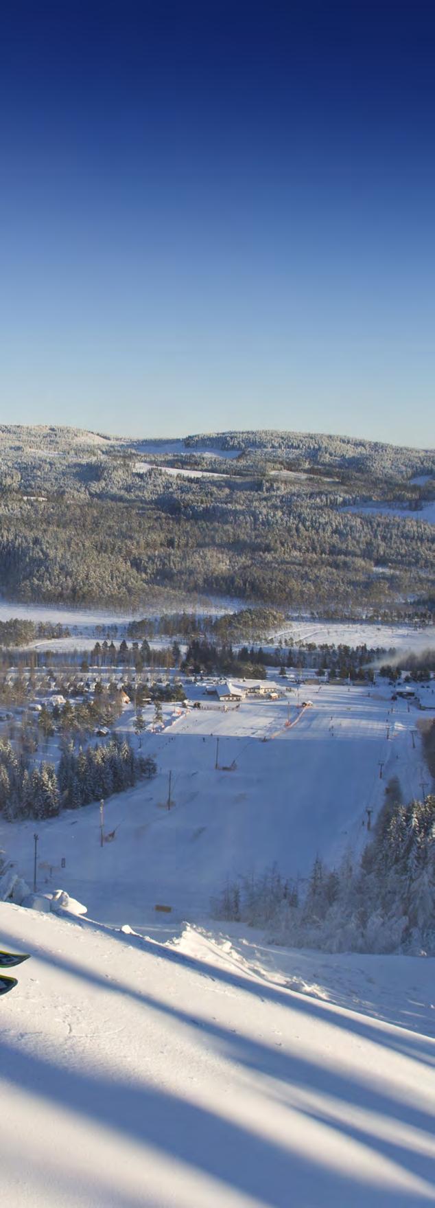 Vi besökte goda vänner som hade en stuga i Säfsen. Det var vårt första besök i området och vi föll direkt. Några veckor senare var vi själva stugägare.