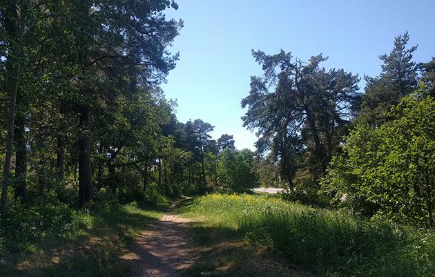 Efter samrådet med länsstyrelsen har förslaget reviderats till sin struktur, men den föreslagna nya markanvändningen, B bostäder, är den samma.