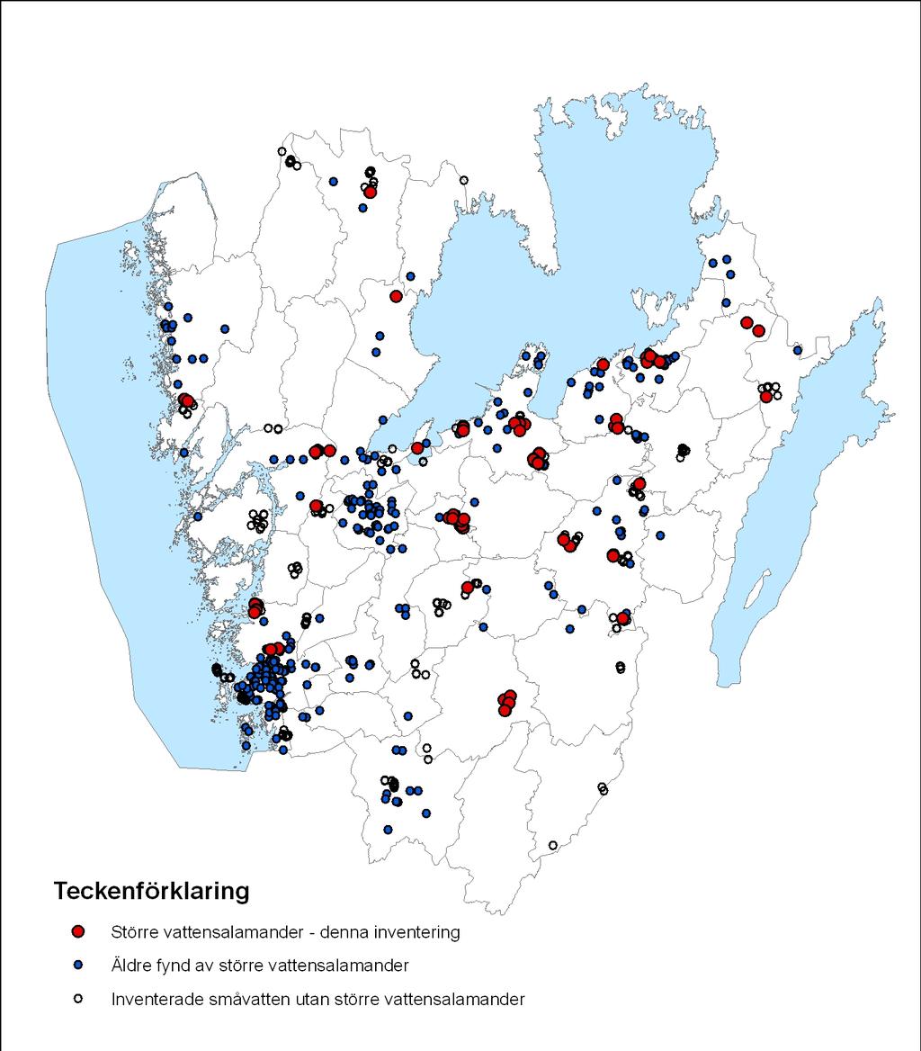 Figur 4. Fynd av större vattensalamander från denna inventering och äldre uppgifter i Västra Götalands län.