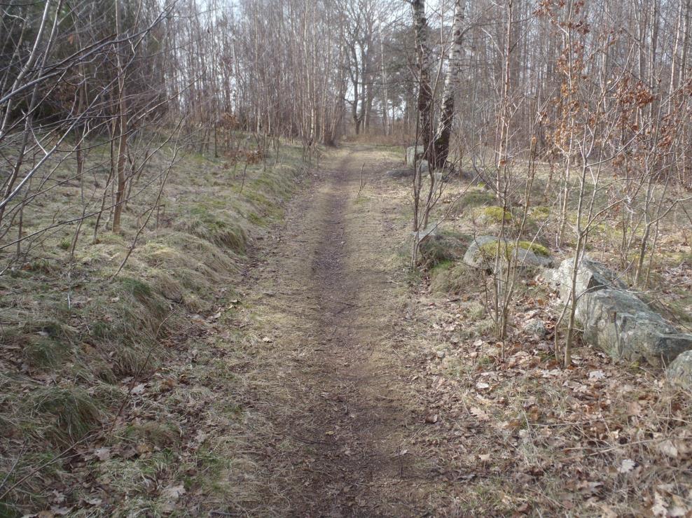 17 (21) Gles lövskog i delområde D.