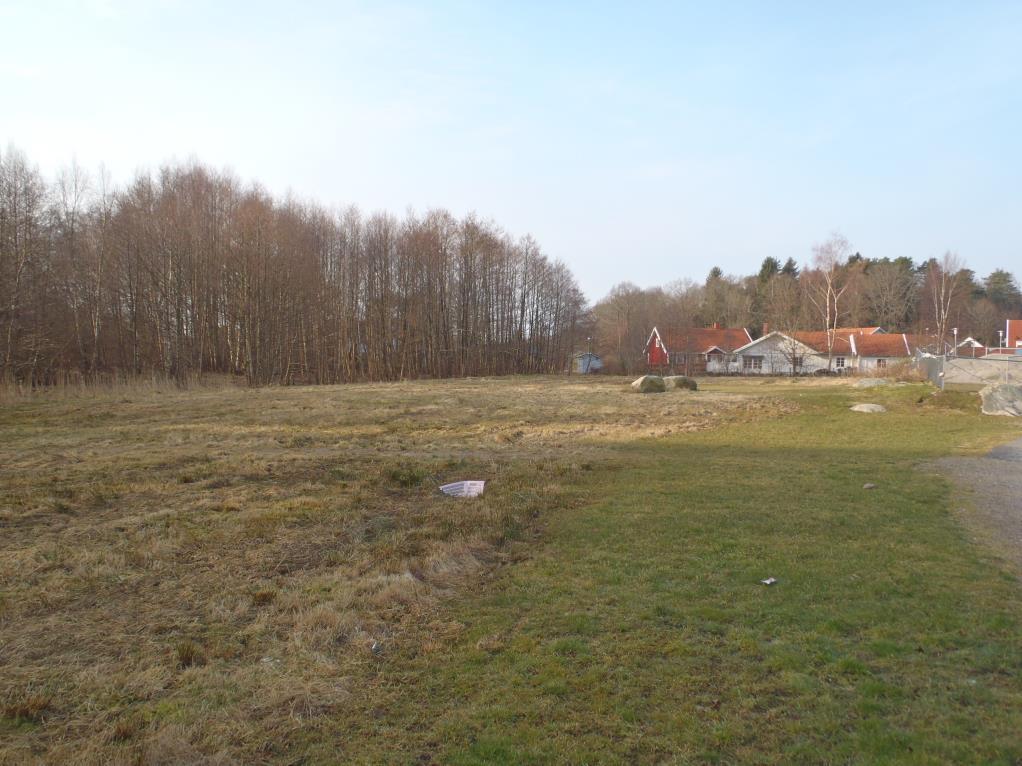 5 (21) Öppen gräsmark i norr i anslutning till Anrås förskola.