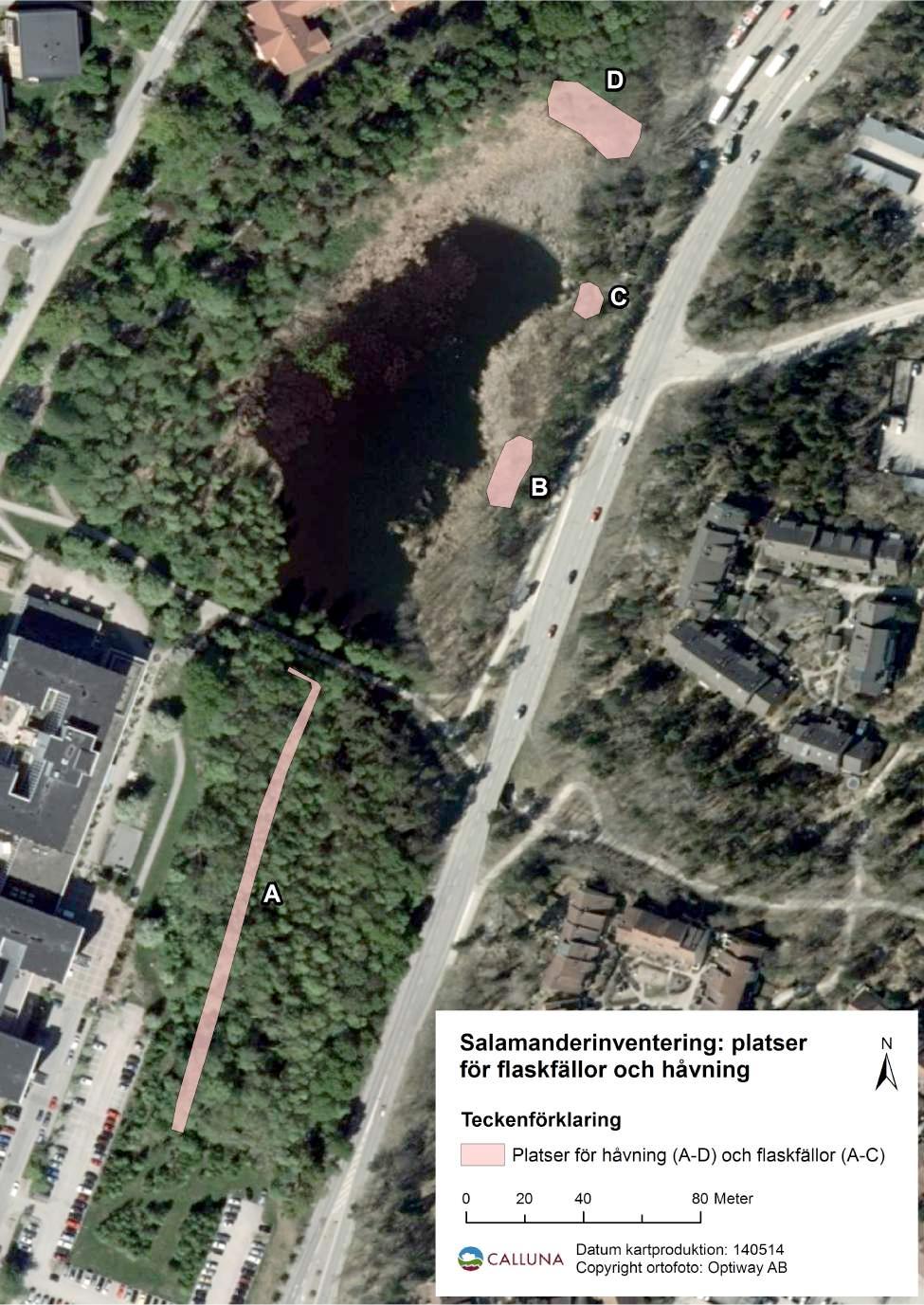 Bilaga 1. Kartor för groddjursutredning i Sarvträsk, Orminge. 2014-05-16. Karta 6.