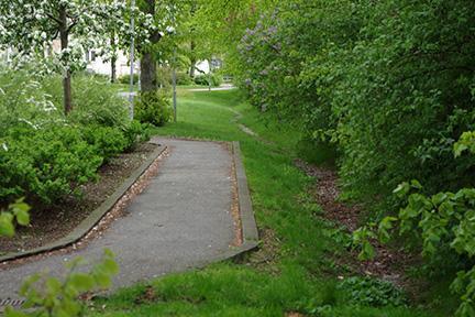 Svackdiken Ett alternativ i villaområden är att leda bort dagvattnet öppet genom svackdiken. Dikena är breda och flacka, dessa kan anläggas med gräs eller annan välighet.