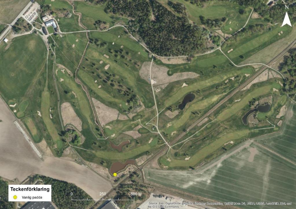 Rödlista 2015 Signalarter Skyddade arter Typiska arter Figur 2. Kartan visar artfynd vid Torshälla golfklubb Tabell 1. Naturvårdsarter som påträffades i området.