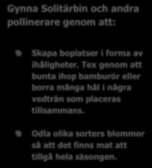 Den här tomatklasen är ett bra exempel på hur viktiga pollinerare är.