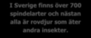 Spindlarna äter även andra nyttoinsekter men har ändå sammanräknat en positiv effekt i odlingen. I sin jakt på föda tillverkar många spindelarter spindelnät.