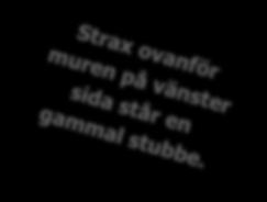 nerfallna träd ligga kvar.