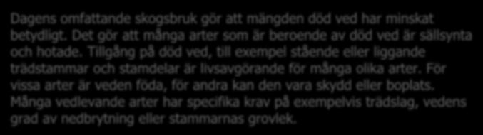 beroende av död ved. Den lever på insekter som lever av död ved.