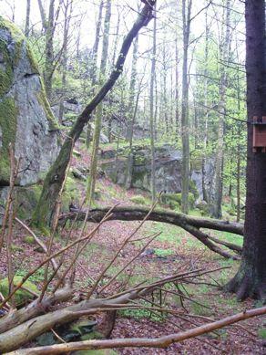 3. Ädellövskog Naturvärdesklass 3, Naturvärde Naturvärde Naturvärdena är i detta område knutna till den kuperade terrängen och den äldre ädellövskogen (figur 6).