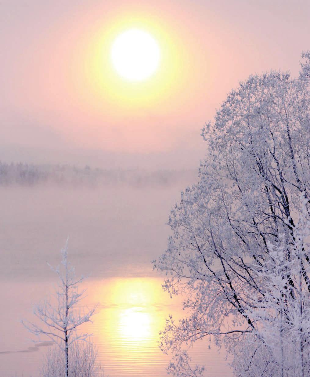 BILD Rättviks kommun 795 80 RÄTTVIK Telefon: