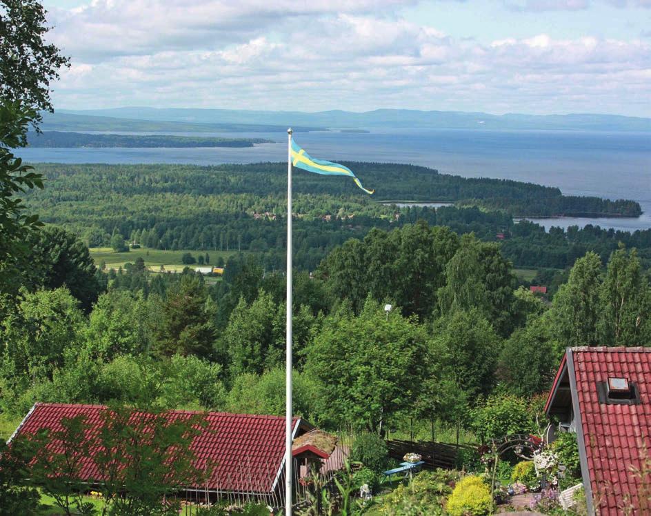 Innehåll Politisk organisation... 2 Kommunstyrelsens ordförande har ordet... 4 Vision 2030, Rättvik där tradition möter framtid... 5 Kommunövergripande mål 2018 2020...6 7 Strategiska mål 2018.