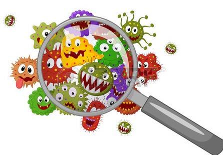 Immunförsvar Bakterier,