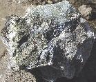V E R K S A M H E T A R C H E L O N M I N E R A L A B Potentialen för diamantfynd i Norrbotten har uppmärksammats även utanför landets gränser.