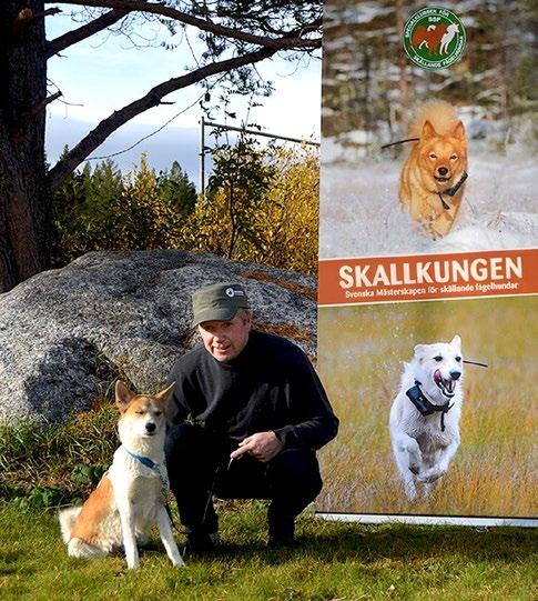 NR 4 2018 TIDSSKRIFT FÖR FÅGELJÄGARE OCH SPETSHUNDSVÄNNER