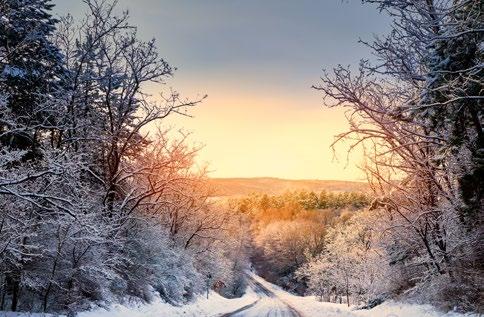 MEDELPAD Årsmöte i SSF Medelpad Klubben kallar till årsmöte söndagen den 3 februari 2019, kl. 16.00.
