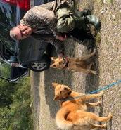 NEDRE NORRBOTTEN Septemberprovet Reivo Arvidsjaur Det var stort intresse för att starta på provet 11 starter Lördag och 10 starter Söndag. En hund blev tyvärr bortlottad från att starta pga markbrist.
