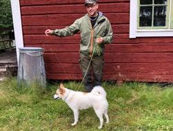 VÄSTERBOTTENS LAPPMARK VÄSTERBOTTENS LAPPMARK Finnskallets Kilpi Brattstans Krita Länskampens vinnare Lars Lindgren med Buskuddens Kirro Trädskällarträff i Storuman Årets upplaga av Länskampen, som