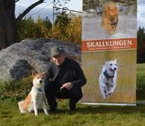 Bäst lyckades Lars Lindgren och Buskuddens Kirro med 82 poäng som även kan titulera sig jaktchampion.