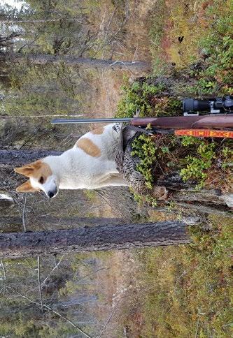 ÖVRE ÖVRE NORRBOTTEN startande ekipage på söndag. Fint väder men en allt mer hård till frisk vind gjorde att hundarna fick det kämpigt. Rampe gick fågeltomt under 4.