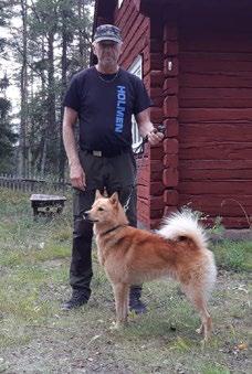provresultat på vårt förhöstprov i Los/ Hamra men årets prov slog ändå alla förväntningar och kommer att gå till historien både vad det gäller startande hundar och resultat.