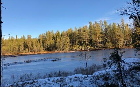 Vi tackar även domare samt provledare som ställer upp och gör dessa utlysta prov möjliga.