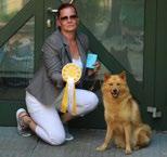 Ett lite omaka hundpar (rottweiler och finsk spets) som blivit bästa vänner. Under 2018 har Mats och Saga varit till Estland, Danmark, Norge, Finland, Tyskland, Nederländerna och Polen.