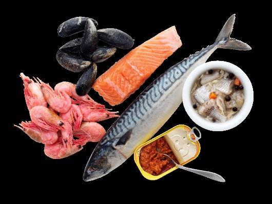 skaldjur är nyttigt och ingår som ett viktigt livsmedel för hälsa och klimat