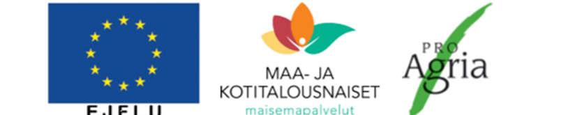-slutrapport för ett projekt inom