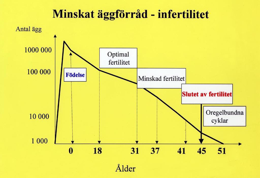 Ovariereserv Markörer för