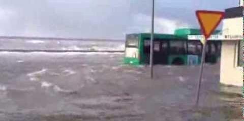 Buss i