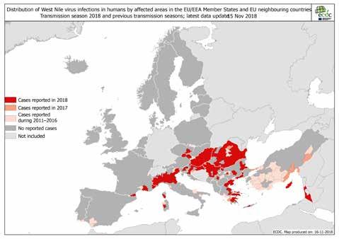 Fallbeskrivning Transmission till människor zsker genom myggor där huvudsakliga vektorn är Culexmyggor, men viruset har återfunnits i flera andra myggarter, däribland Aedes och Mansonia.