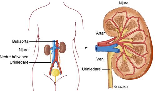 Vårdplanen får du som patient för att du ska kunna vara delaktig i din vård i den utsträckning som du önskar.