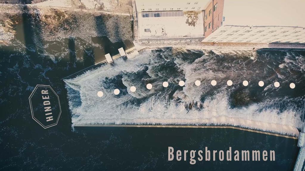 Bergsbrodammen Ekologi