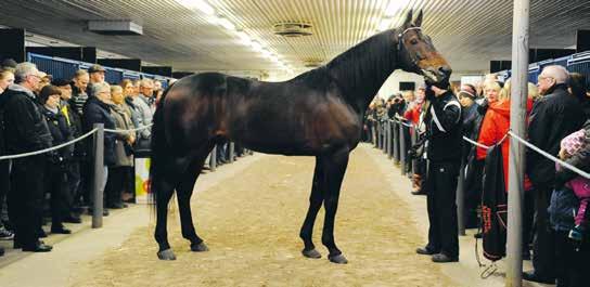 Start 9: ODDS TVILLING Bankod 08 WALK THE WALKS LOPP -åriga och äldre.00-70.000 kr. 40 m. Tillägg 0 m vid vunna 90.00 kr. PLATS Pris:.000-7.00-0.800-7.00-4.00-(.00)- (.00) kr.