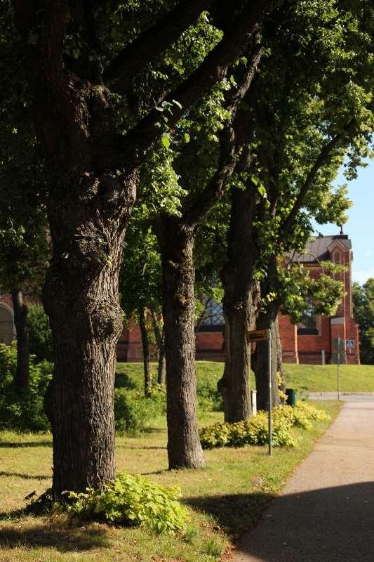 Avdelningens Bokslut 2017 Budget 2018 Budget 2019 BYRÅN FÖR FASTIGHETSDATA OCH GEOGRAFISK IN- FORMATION Intäkter 709