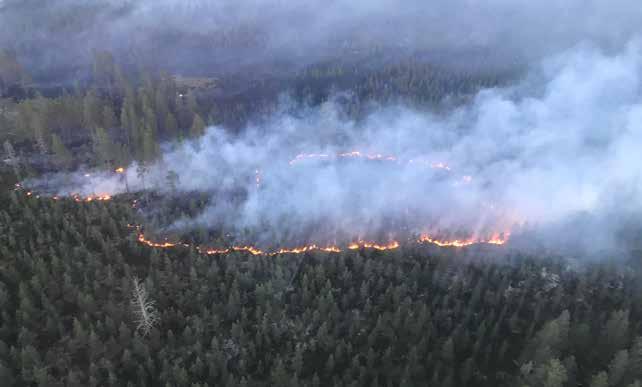 Stort medialt intresse Det extrema sommarvädret väckte många frågor om klimat från både allmänhet och media, såväl svenska som internationella.