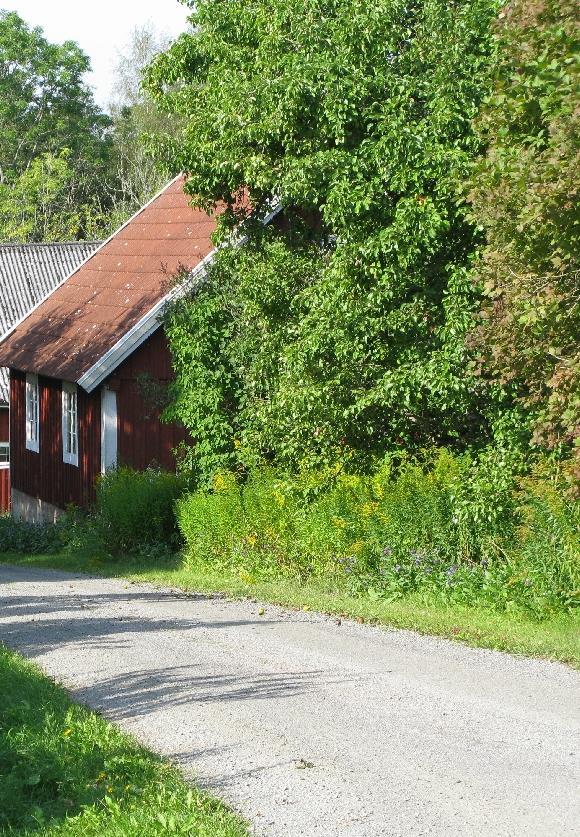 Kulturmiljöprogram