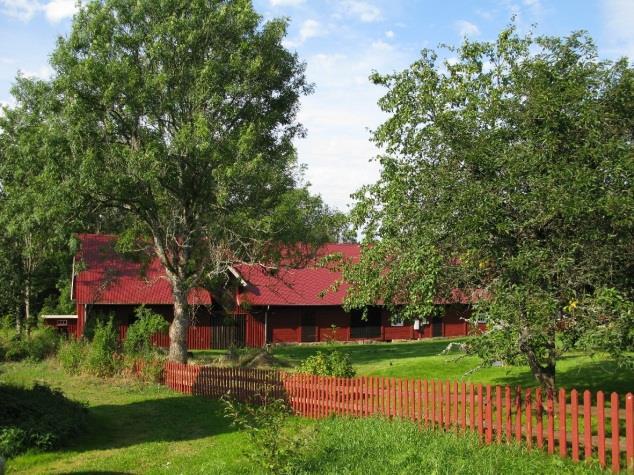 Bökevara 1:6,