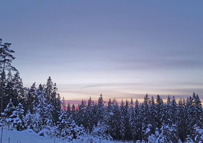 Traditionell svensk dalahäst med Ytbehandling från Teknos Vi välkomnar 2019 och alla årets utmaningar Om du söker en typisk symbol för Sverige behöver du inte leta längre än till dalahästen.
