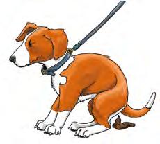 Att du rastar din hund på gården är sällan särskilt uppskattat, eller att din hund skäller så fort någon rör sig i trapphuset.